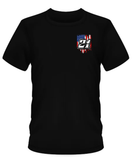 Paul Field American Flag Design