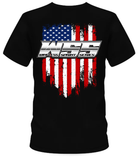 Wingless Sprint Series American Flag Design